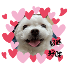 ray ray and her friends