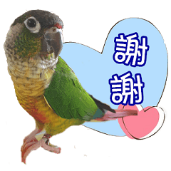 Parrot language