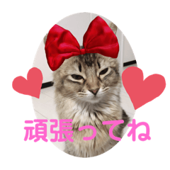 rika_20190809044141
