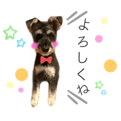 roko_20190808175715
