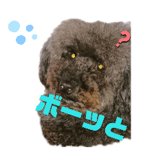 ponta_20190809070008