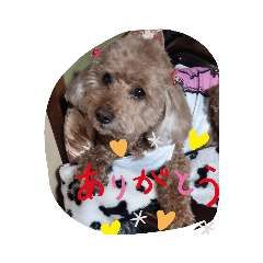 HIMA_20190808171826