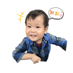小肥仔日常