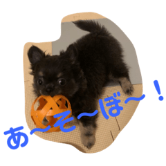 Mame_20190809122601