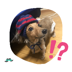 HIKARI_20190809141642