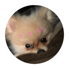 MONAKA_20190809151954