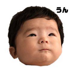 tanuki_20190809033848