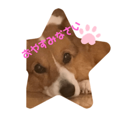 satoshi_20190808204124