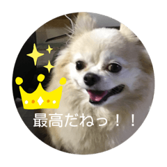 Rika_20190809