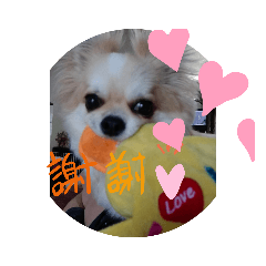 peace_20190809172723