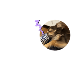 tony_20190809172636