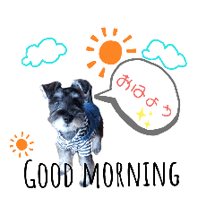 nozomi_20190809153152