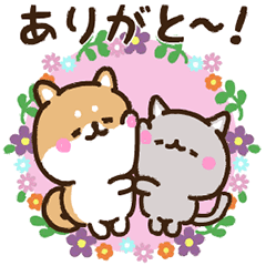 仲良し シバにゃん Line スタンプ Line Store 仲良し シバにゃん Line スタンプ Line Store