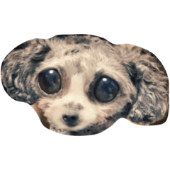 僕の癒し