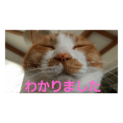 meme_20190809223728