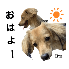 eito&Jack