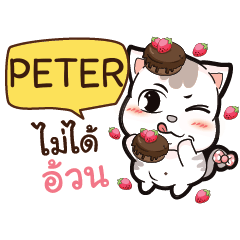 PETER A Lazy Pussycat e