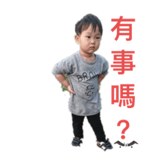 阿哲哲的小世界