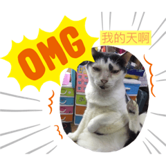 歐屁屁