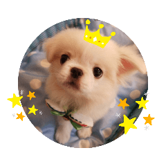 arisa_20190810021631