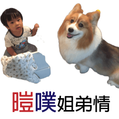 暟飽&噗