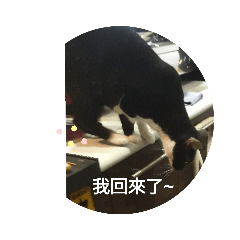 黑貓路可，歐咪（4）