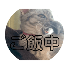 ha_20190810000620