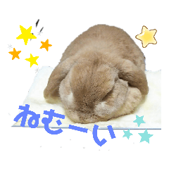 ponta_20190809231218