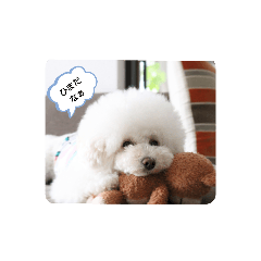 suzu_20190809203536
