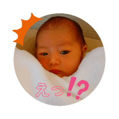 maya_20190810180530