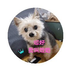 妞妞，寶寶的家1