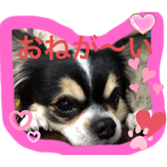 Risa_20190808222149