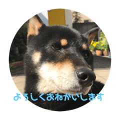 Junjun_20190810182352