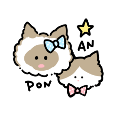 cat pon&an