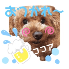 nonta_20190810190641