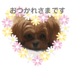 monmon_20190810231256