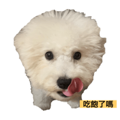 比兒1