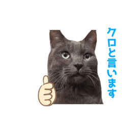 kurosuke1