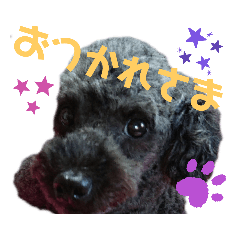ponta_20190811073456