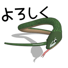 Snake animation2