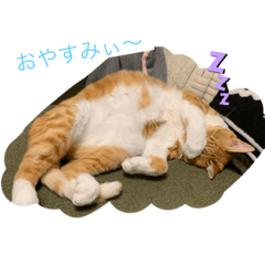 MAYUMI_20190811132643