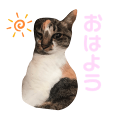 HARURU_20190811161028