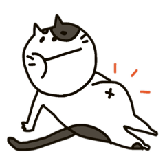 pon_20190811194458