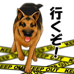 ジャーマンシェパード警察犬 第5弾