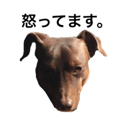 RAN_20190811220510