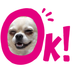 moko_20190811222538
