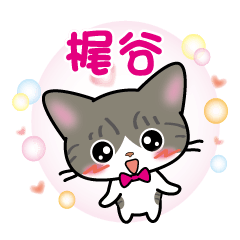 kajigaya's sticker silver tabby cat ver.