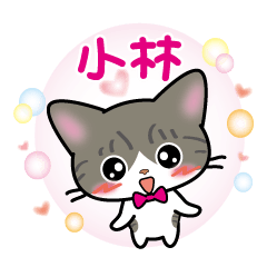 kobayasi's sticker silver tabby cat ver.