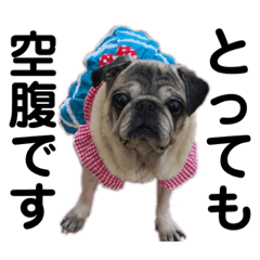 natsumi_20190810085838