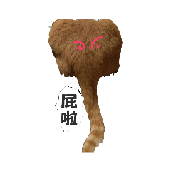 麻糬出道